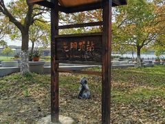 -上海都市菜园