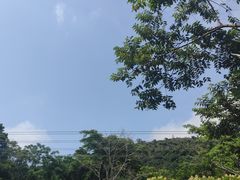 -呀诺达热带雨林