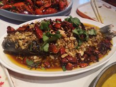 -杨氏青龙虾·羊蝎子(托乐嘉店)