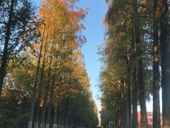 -杭州半山国家森林公园