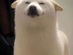 -摩柠手作茶室(国贸店)