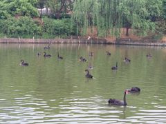 -无锡动物园·太湖欢乐园
