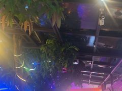-海岛八号龙虾烧烤田鸡(蓝天路总店)
