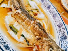 清蒸白水鱼-洞天食府(北大街店)