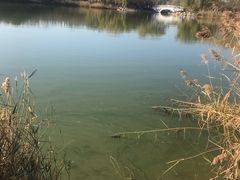 -大兴滨河森林公园