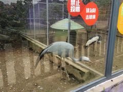 -无锡动物园·太湖欢乐园