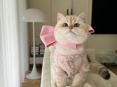 -爱侣宠医·鹦鹉专科·小型哺乳类·异宠专科(灵石路店)