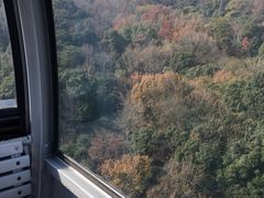 -普陀山佛顶山索道