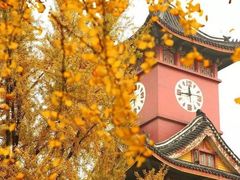 -四川大学(望江校区)
