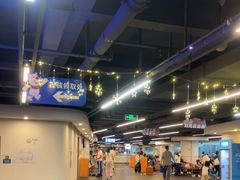 -世界之窗阿尔卑斯冰雪世界
