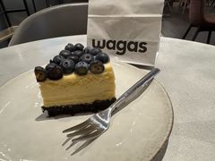 -Wagas沃歌斯(汇智店)