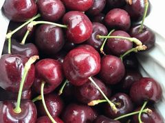 -百果园PAGODA(应元路店)