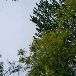 -天津市中心妇产科医院(南开院区)
