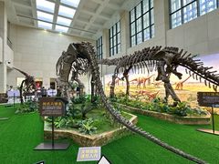 -广西壮族自治区博物馆