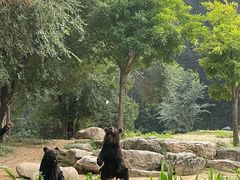 -北京野生动物园