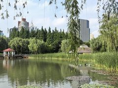 -新虹桥中心花园