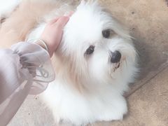 -TrueLove @ Neverland (Husky Cafe)