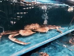 -蟹田居·活蟹料理(东城店)