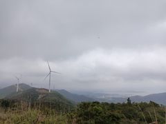 -盐洲岛