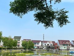 -金山嘴渔村
