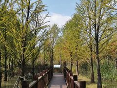 -柳鹭田园区