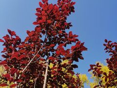 -长春公园(普阳街道)