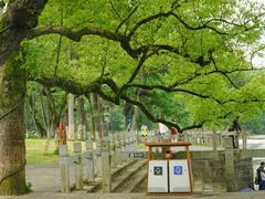 -桂林灵渠景区