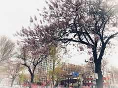-白石桥南(地铁站)