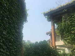 -广悦华阳朔河畔度假酒店(十里画廊遇龙河店)