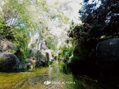 -中国茶叶博物馆(双峰馆区)