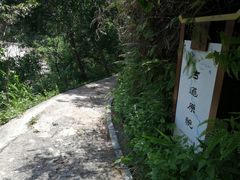 -羚羊峡古栈道森林公园