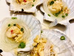 扇贝-新享乐海鲜(翠华路店)