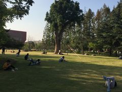 -上海财经大学(国定路校区)