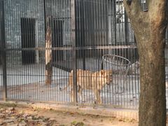 -广东茂名森林公园