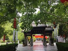 -大槐树寻根祭祖园