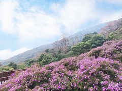 -广州市石门国家森林公园