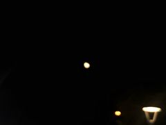 -Banana Moon
