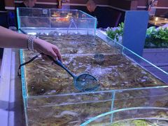 -聚盛源蒸汽海鲜火锅烤肉自助(巨川金海岸购物广场店)