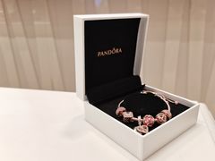 -Pandora潘多拉珠宝(武商广场店)