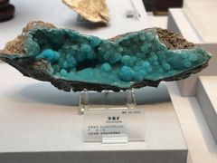 -湖南省地质博物馆