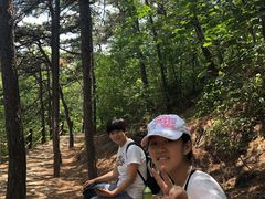 -阳台山自然风景区