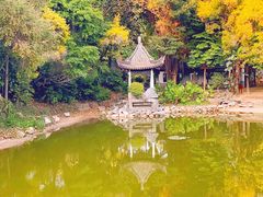 -深圳国际园林花卉博览园