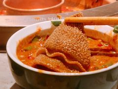 精美口口脆毛肚-小南房鲜美蛙火锅(北苑店)