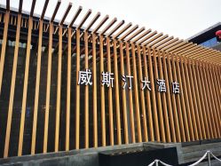 -西安威斯汀大酒店·宴会厅