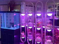 -巴特餐饮6加1音乐餐吧·新疆菜