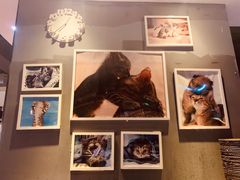 -猫抓烤肉(武进吾悦广场店)