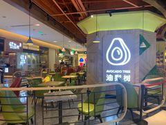 -油梨树AVOCADO TREE(嘉里中心店)