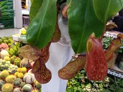 -三旗百汇商品城