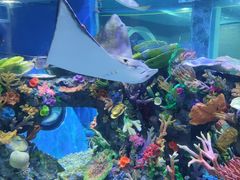 -成都浩海立方海洋公园