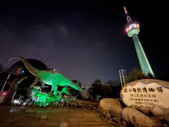 -陕西自然博物馆